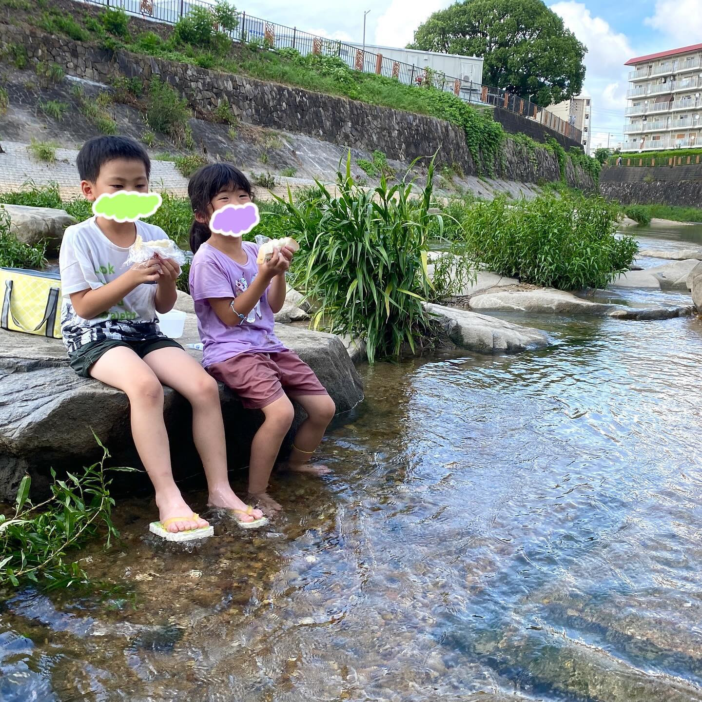 子どもたちと一緒に、のびのびとした自然学習を楽しみました🍃✨...